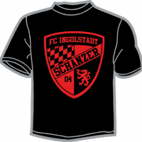 0500-FC INGOLSTADT 