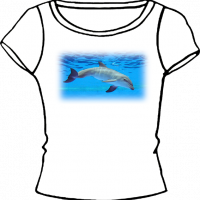 0124-DELFIN 1