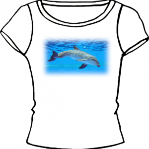0124-DELFIN 1
