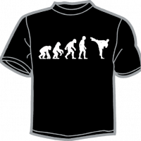 0175-EVOLUCION KARATE 