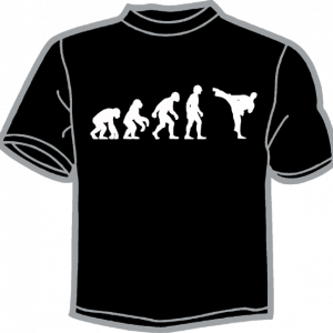 0175-EVOLUCION KARATE 