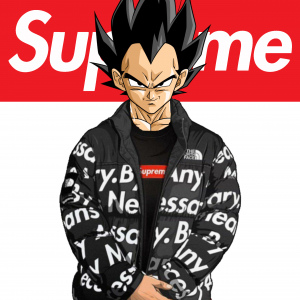 2023 COLLECTION