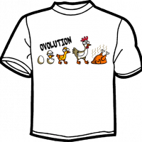 0640-OVOLUTION 