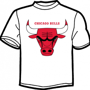 1712-CHICAGO BULLS LOGO