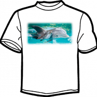0143-DELFINES FOTO