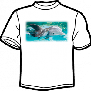 0143-DELFINES FOTO