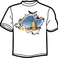 0169-MAPA MALLORCA MOLINO