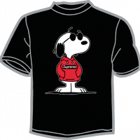 1911-SNOOPY GAFAS SOL 
