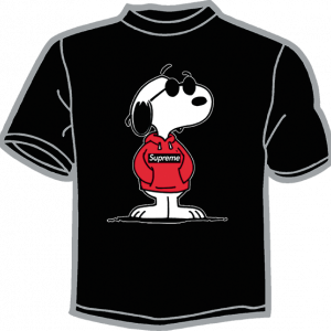 1911-SNOOPY GAFAS SOL 