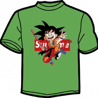 1778-DRAGON BALL